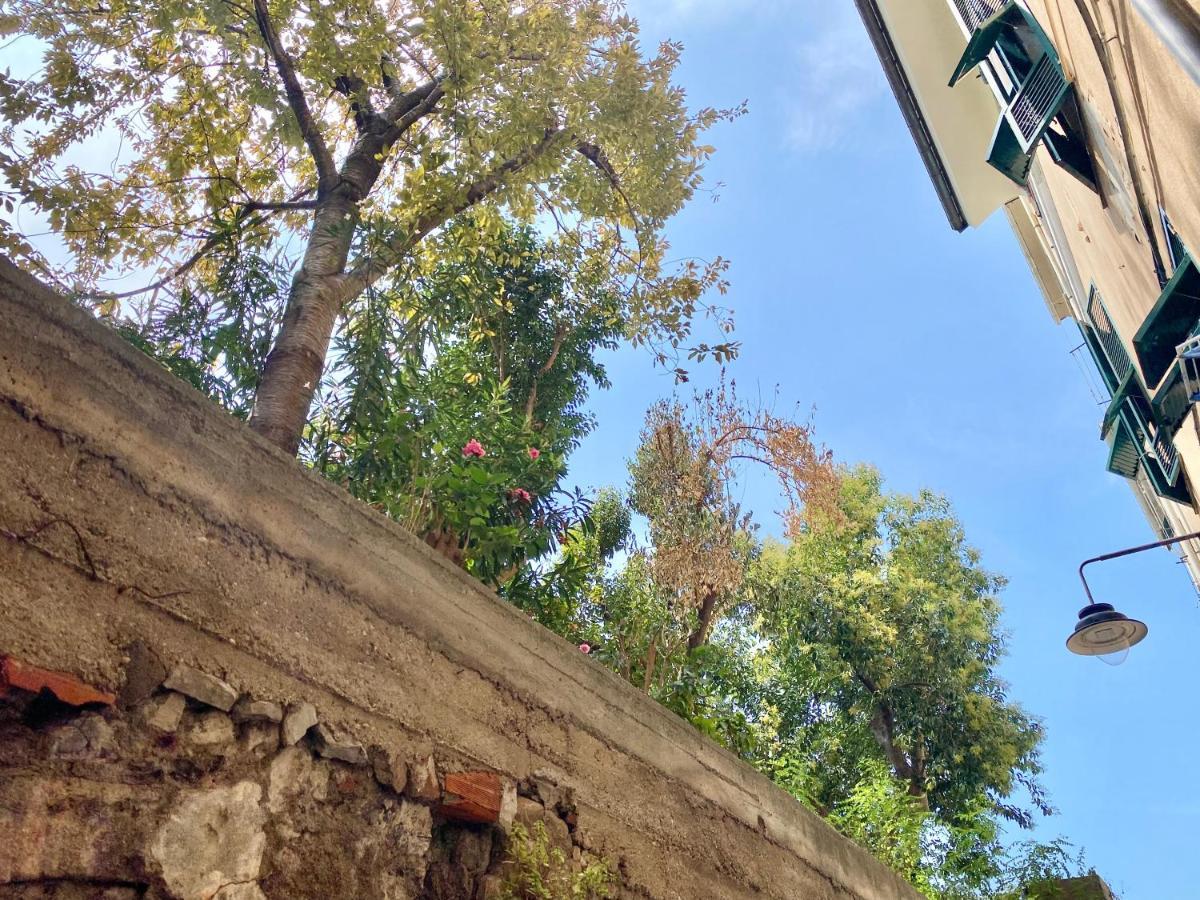 Casaviva - Lovely Bilo In Ancient Genoa Apartman Kültér fotó